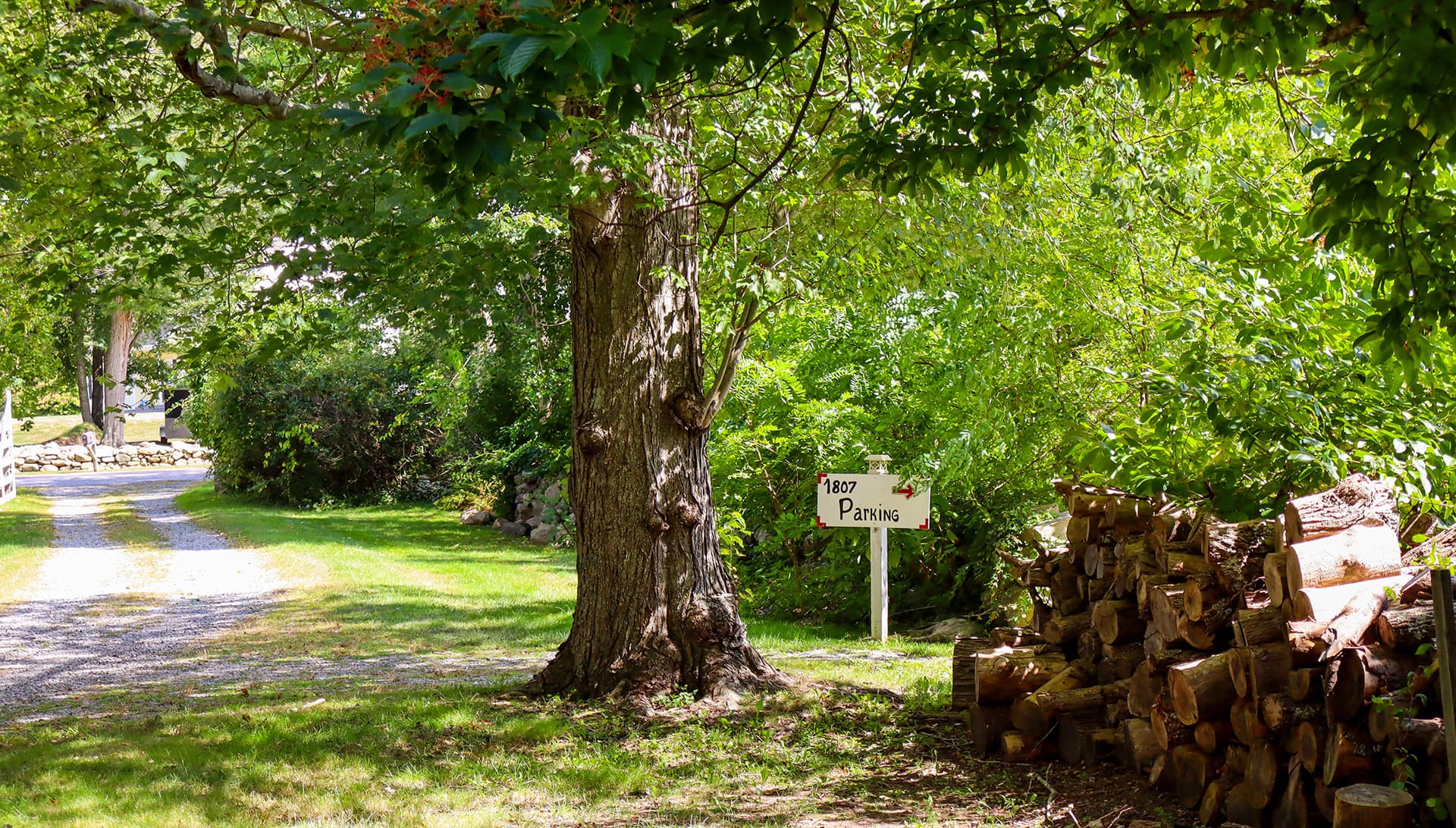 A tree stands beside a gravel path, with a "Parking" sign and a stack of firewood nearby.