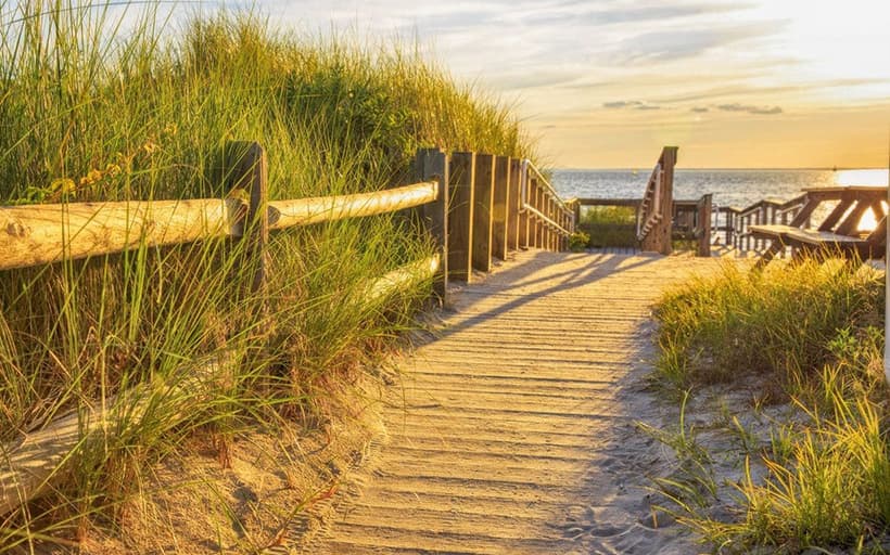 A wooden walkway leads through tall grass to the beach at sunset.